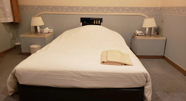 Одноместный номер Standard Business Hotel La Firenze