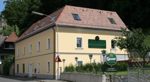 Gösser BACHGASSLHOF -- Bed and Breakfast -- Apartments, Prenota Appartamento Mühltal 