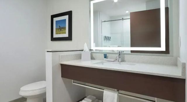Двухместный номер Deluxe Four Points by Sheraton Sherwood Park
