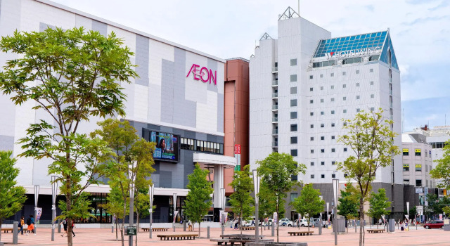 Номер Standard KOKO HOTEL Asahikawa Station