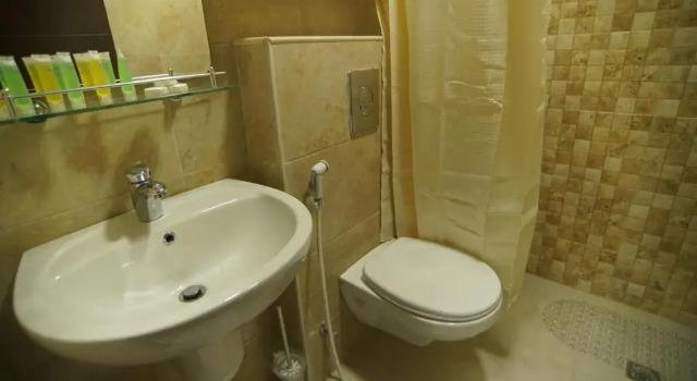 Номер Deluxe Petra Aretas Hotel