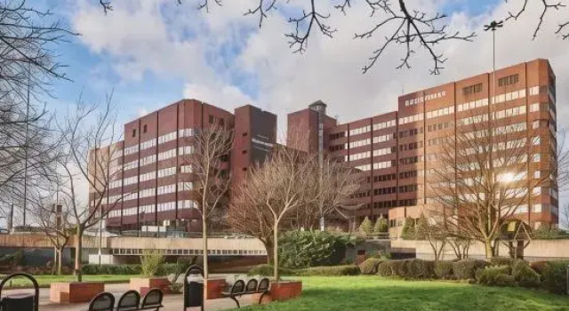 Pet-friendly 1BR Apt sleeps 4 in BMH Centre with Parking