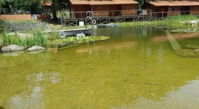 Бунгало с 3 комнатами Parque Biologico de Vinhais