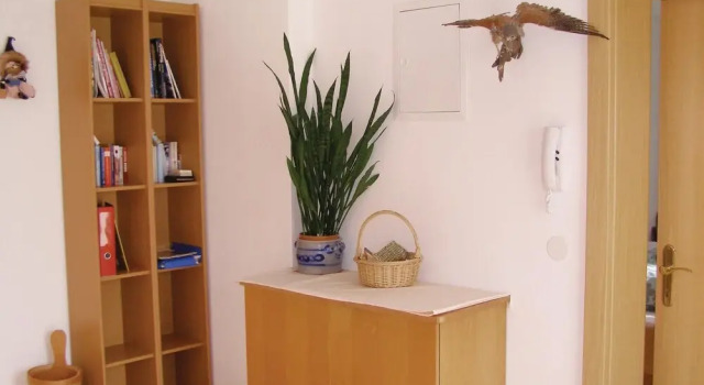 Awesome Apartment in Trins With 1 Bedrooms and Wifi