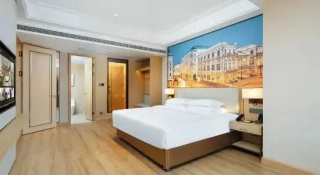 Люкс Business Vienna International Hotel (Ninglang Luguhu Avenue)