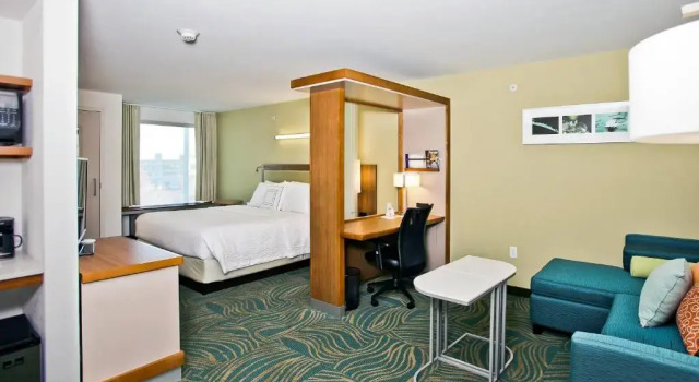Студия SpringHill Suites by Marriott Mobile West