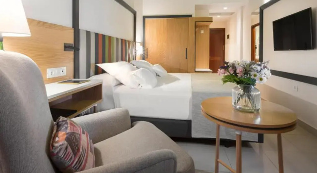 Одноместный номер Standard с видом на горы Hotel Gran Rey