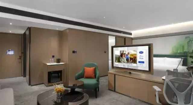 Люкс Hampton by Hilton Guiyang Nanming Xingye