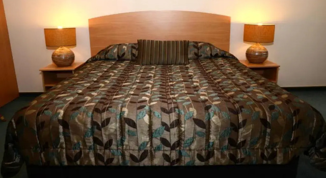 Двухместная студия Deluxe Greenlane Manor Motel