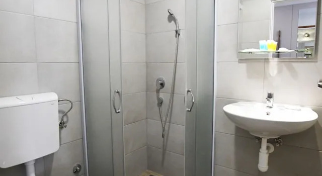 Апартаменты Atrijum Apartments and Rooms - Đerdap Boat Tours