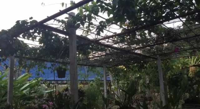 Kruamaeurai Homestay