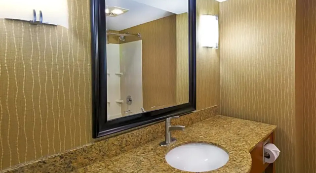 Люкс Holiday Inn & Suites Bolingbrook by IHG