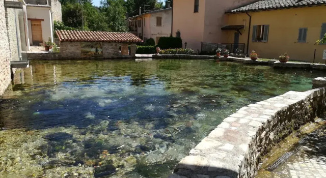 B&B Il Sentiero nel Bosco