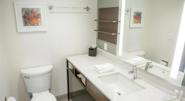 Номер Standard Hilton Garden Inn Corning Downtown