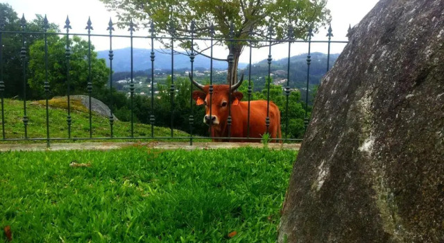 Коттедж Quinta da Toural