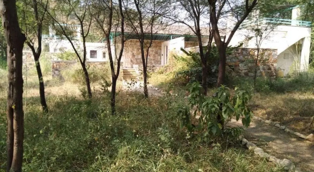 Люкс Trees N Tigers Luxury Wildlife Lodge