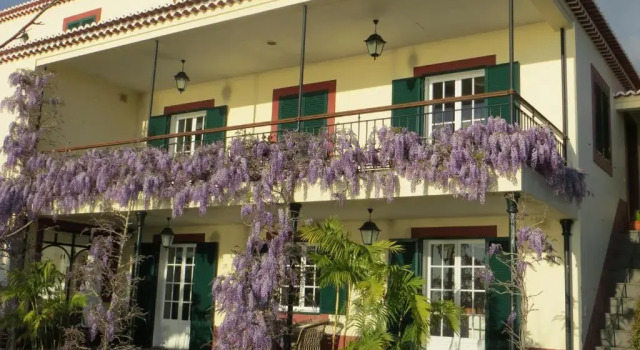 Quinta do Cabouco, Buchen Sie Hotel Ribeira Brava Madeira