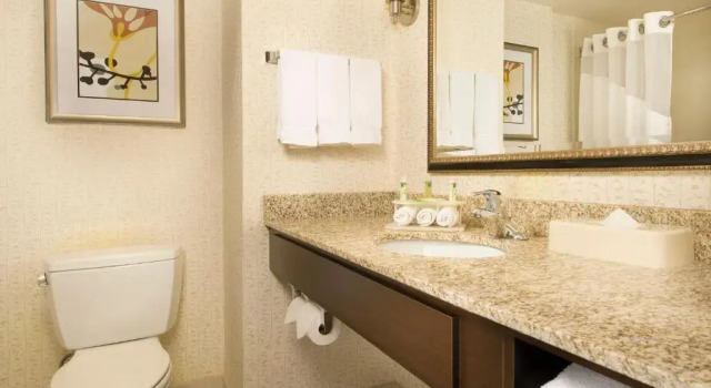 Номер Standard Holiday Inn Express & Suites Alexandria - Fort Belvoir by IHG