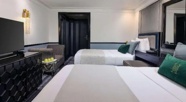 Двухместный номер Superior с видом на реку Movenpick MS Hamees