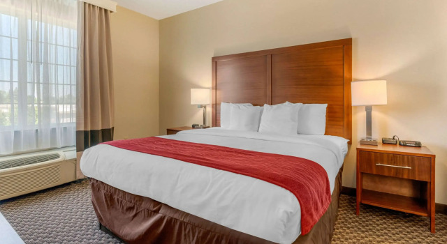 Двухместный люкс Comfort Inn & Suites Galt - Lodi North