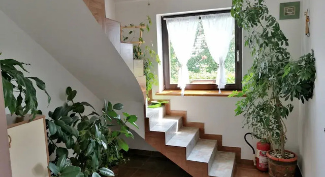 House Marica