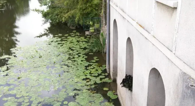 Le Jardin et Moulin sur la Moine, Забронировать Мини-отель Севрмуан 