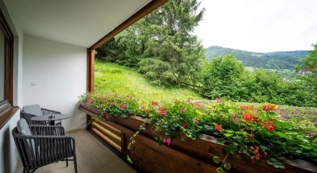 Люкс Hotel OTP Birkenhof