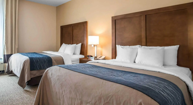 Номер Standard Comfort Inn Apalachin - Binghamton W Route 17