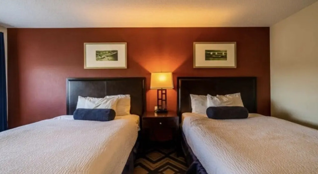 Standard Zimmer The Patch Lodge