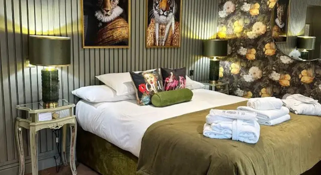 Номер Superior OYO The Townhouse