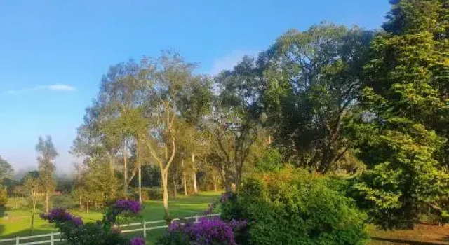 Hotel Fazenda Pedra Selada