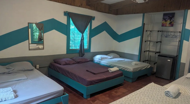Номер Standard Tasty Dayz Hostel