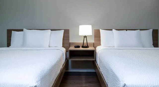 Четырёхместный номер Standard ECHO Suites Extended Stay by Wyndham Springfield Airport PLZ