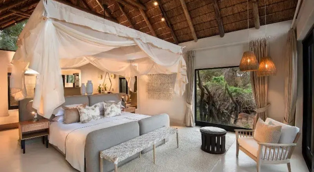 Одноместный номер Superior Lion Sands River Lodge