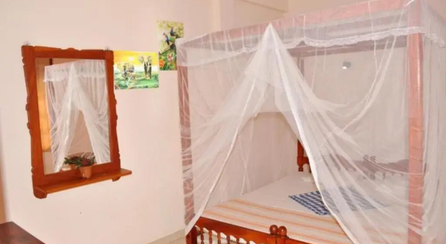 Номер Standard Dilena Beach Inn