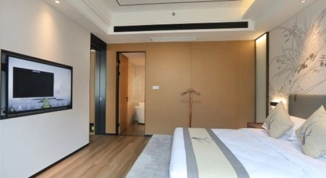 Suite Executive lanzunhotel