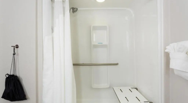 Люкс Holiday Inn Express Hotel & Suites Tampa-Fairgrounds-Casino by IHG
