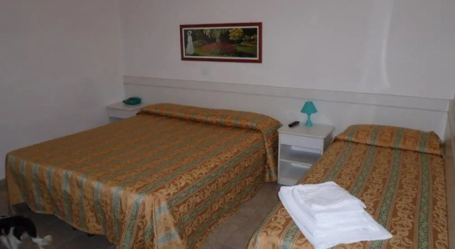 Номер Standard Hotel Zeus