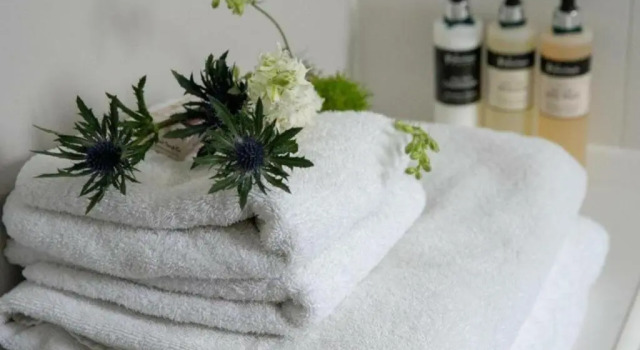 Номер Standard Hame Hotel