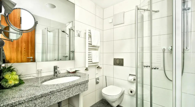 Номер Standard Hotel Central