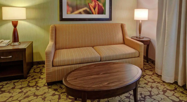 Номер Standard Hilton Garden Inn Minneapolis/Eden Prairie