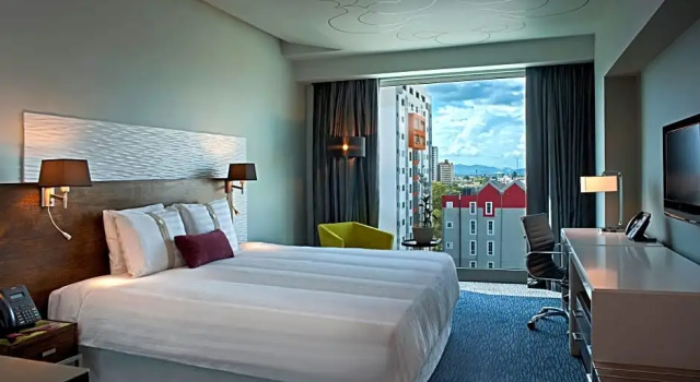 Номер Standard с красивым видом из окна Holiday Inn Santo Domingo by IHG