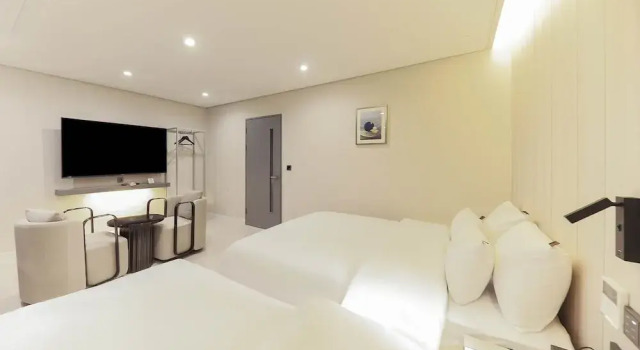 Двухместный номер Premium Hotel Signature