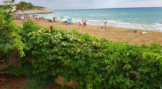 Коттедж Casa la conchiglia sulla spiaggia