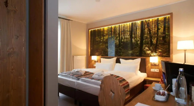 Двухместный номер Standard Torfhaus Harzresort