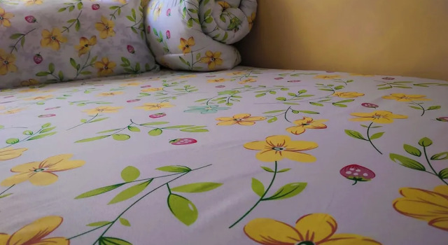 Sero Safaris Hostel