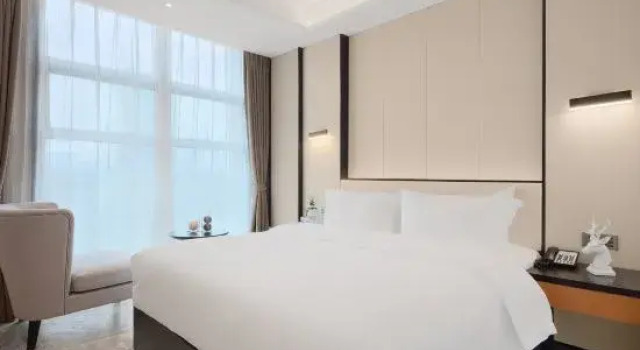 Suite Executive 1 camera da letto The  Hidden  House