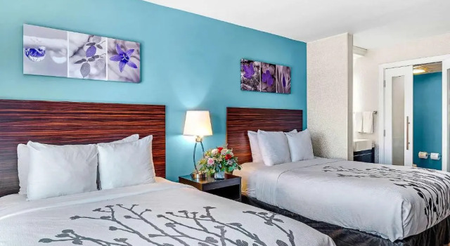 Четырёхместный номер Standard с видом на улицу Sleep Inn Orange Beach