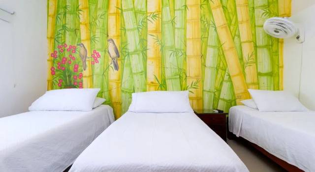 Номер Standard Hotel Jardines Evans By GEH Suites