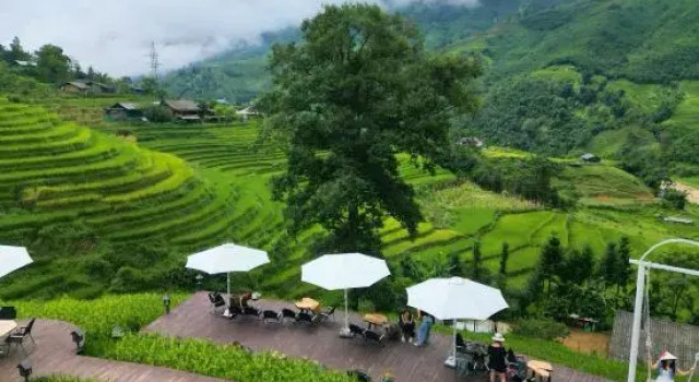 MT House Sa Pa - Mountain & Terraced fields View And Trekking Tour, Rezervovat Hotel Sapa Lao Cai